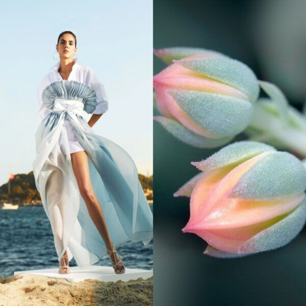 MODA VE ÇİÇEKLER ARASINDAKİ BÜYÜK AŞK