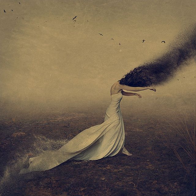 BROOKE SHADEN