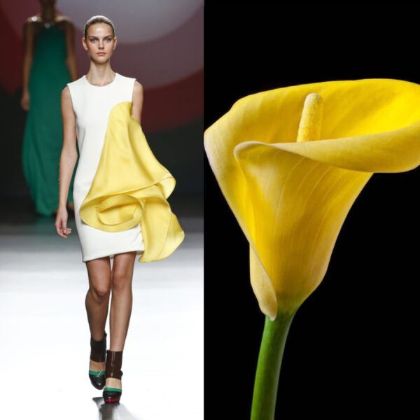 MODA VE ÇİÇEKLER ARASINDAKİ BÜYÜK AŞK