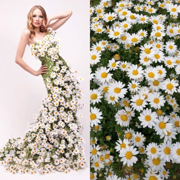 MODA VE ÇİÇEKLER ARASINDAKİ BÜYÜK AŞK