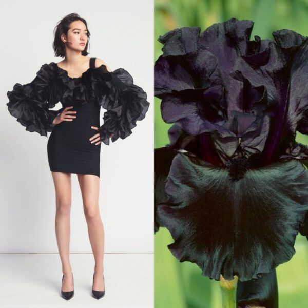 MODA VE ÇİÇEKLER ARASINDAKİ BÜYÜK AŞK