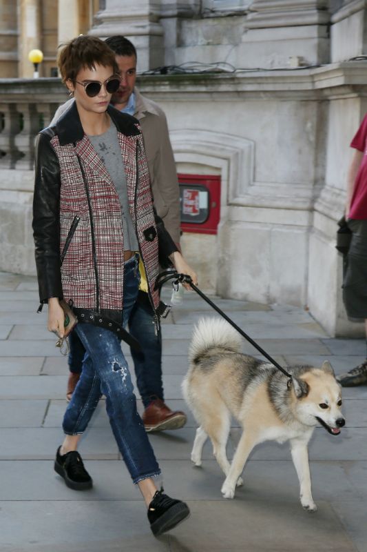 Ünlüler ve Köpekleri
