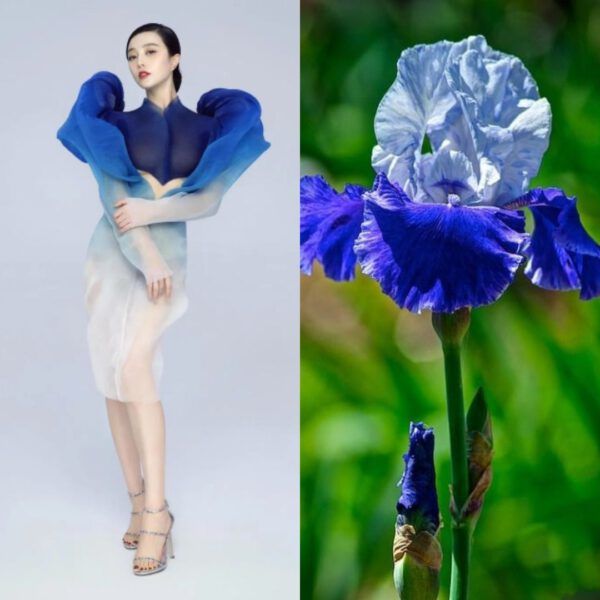 MODA VE ÇİÇEKLER ARASINDAKİ BÜYÜK AŞK