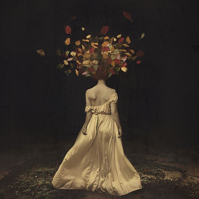 BROOKE SHADEN