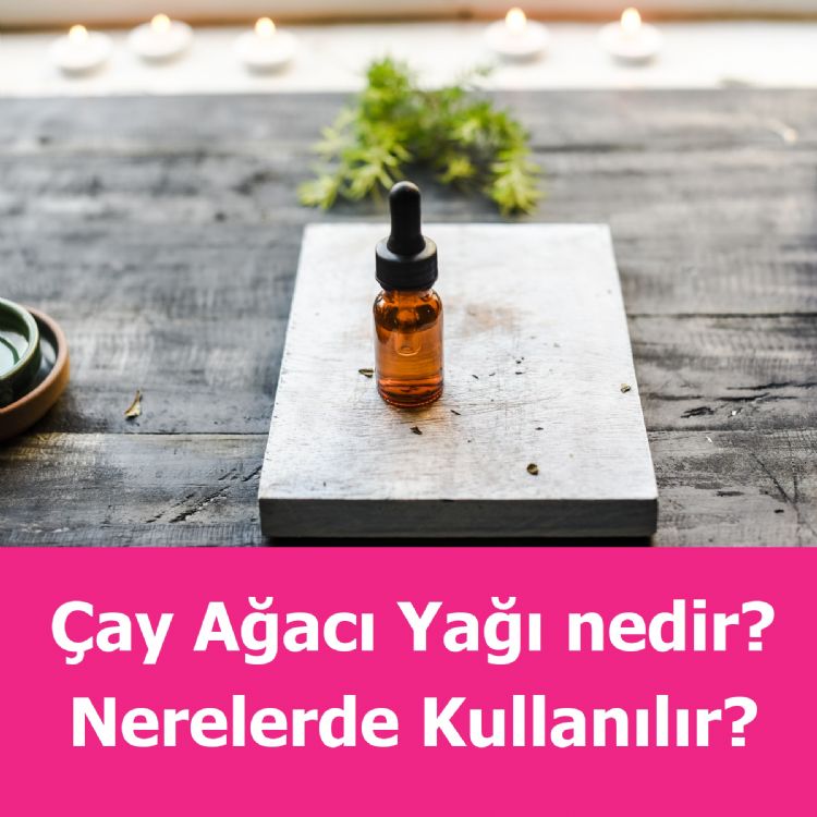 ay Aac Nedir? Nerelerde Nasl Kullanlr?