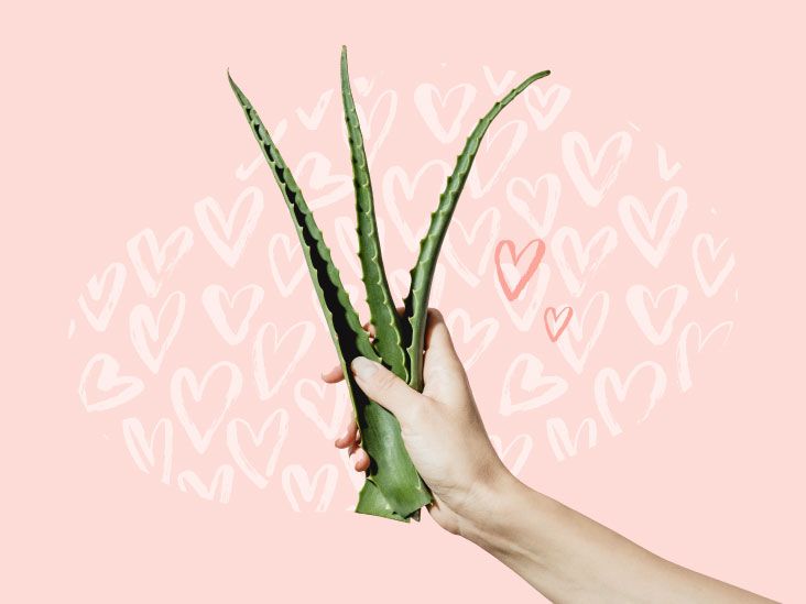 Neden Aloe Vera Yetiştirmelisiniz?